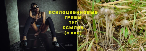 каннабис Алексеевка