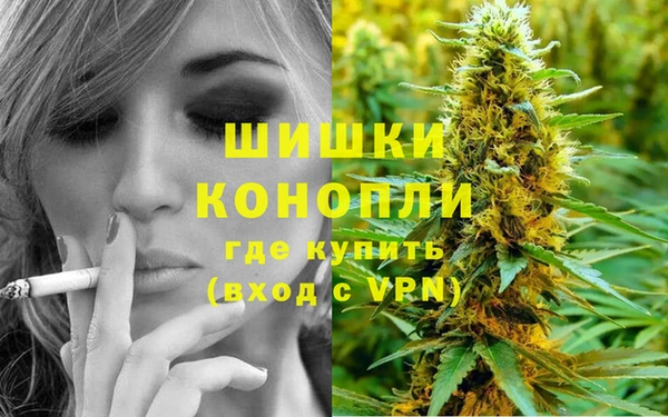 трава Алзамай